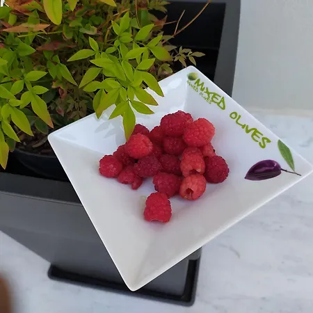 Marena 4* بورغراديك