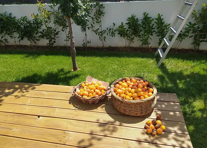 Oda ve Kahvaltı Marena